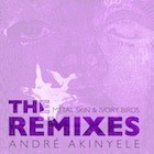 Picture for song 'War of Independence (360 Mix)' by artist 'Andre Akinyele'