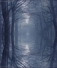 Picture for song 'Pleq/de Braga - Trying to remember' by artist 'Antonio de Braga'