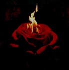 Picture for song 'The Truth Beneath the Rose (demo)' by artist 'Arisa'