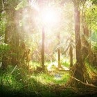 Picture for song 'High and dry' by artist 'Armando Ferrer'