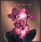 Picture for song 'Kannaal Paesum Pennae' by artist 'ART OF SOUND'