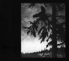 Picture for song 'Empyrium - Where At Night The Wood Grouse Plays' by artist 'Asfigmia'