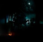 Picture for song 'Predator' by artist 'A Stone And Two Letters'