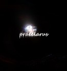 Picture for song 'praeclarus' by artist 'attack of the sloth'