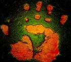 Picture for song 'hot hands, cold feet' by artist 'A Tumbling Head'