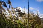 Picture for song 'Breeze By' by artist 'Audio Ghost Beats'