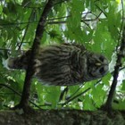 Picture for song 'The Cost of Living 31009' by artist 'Autonomous Anonymous'