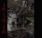 Picture for song 'Oblivion Upon Us' by artist 'Autumn Leaves Fallen'