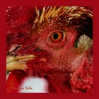 Picture for song 'Little Red Rooster' by artist 'Axe Masterson'