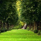 Picture for song 'Green Garden 106 bpm (prod. by Axis Beats)' by artist 'Axis Beats (US)'