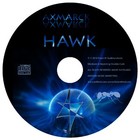 Picture for song 'Hawk' by artist 'Axmarck'