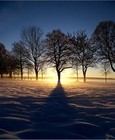 Picture for song 'The Dawn of Time' by artist 'Backtraqcks BFG - Franf'