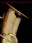 Picture for song 'Moon of Blue' by artist 'Bald Sax Guy'
