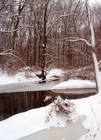 Picture for song 'Waiting' by artist 'Bandersnatch'