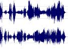 Picture for song 'Stereophonic Bass Transmission' by artist 'BASSOTRONICS'