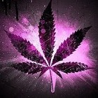 Picture for song '*SOLD* Purple' by artist 'BEATS by Diamond Style'