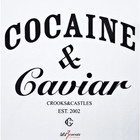 Picture for song 'Cocaine & Caviar - HIPHOP' by artist 'BeatsbySV'