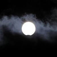 Picture for song 'belladonna' by artist 'BELLADONNA'