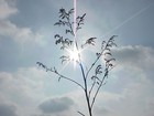 Picture for song 'Lines' by artist 'Ben Allan (IL)'