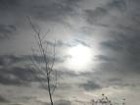 Picture for song 'Autumn Comes' by artist 'Beyond Recording'