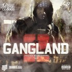 Picture for song '**Nuthin You Can Tell Us** (Chevy Woods Type) Free' by artist 'Big Bully Organization'