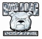 Picture for song 'Get It On Gurl!!!' by artist 'Bigg Dogg Records'