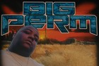 Picture for song 'I DID YOU WRONG' by artist 'Big Perm aka Swaggs Malone'