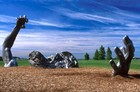 Picture for song 'The Awakening' by artist 'Big Sky Blues Band'