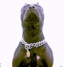 Picture for song 'on-testbaar' by artist 'Big Time (bt)'