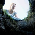 Picture for song 'Wonderland' by artist 'Billboard Classics'