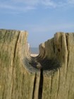 Picture for song 'Does He? (demo)' by artist 'Bispatial'