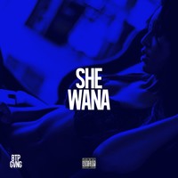 Picture for song 'TEU - She Wana (Spotify & AppleMusic)' by artist 'Black Tee Productions'