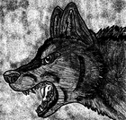 Picture for song 'Angry Dwags Riddim Version' by artist 'Blakk Boii Productions'