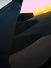Picture for song 'Plancton' by artist 'BlBox'