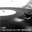 Picture for song '5. Hold On Now (Too Much Is Not Enough 2010)' by artist 'Blimos'
