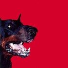 Picture for song 'Blood and Sun - rap game instrumental' by artist 'Blood And Sun'