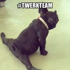 Picture for song '**NEW** Twerk Kontest (Club/Dance)' by artist 'Boogeyman Productionz'