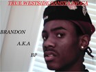 Picture for song 'FREESTLYE TO GET EM BEAT' by artist 'BRANDON AKA BP'
