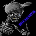 Picture for song 'Now Here' by artist 'Breakneck'