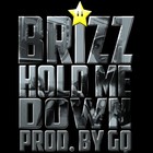 Picture for song 'Hold Me Down' by artist 'Brizz'
