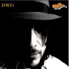 Picture for song 'True Love' by artist 'Bruce Wayne Derr'