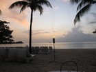 Picture for song 'Jamaican Homecoming' by artist 'buckd22'