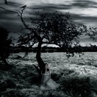 Picture for song 'A Midnight Poem' by artist 'Burden Of Solitude'