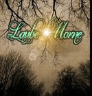 Picture for song 'L'aube Morne - Lassitude' by artist 'Burden Of Solitude'