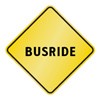 Picture for song 'Cliffs Of Insanity' by artist 'BUSRIDE'