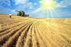 Picture for song 'White unto Harvest' by artist 'Cam7Song'