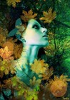 Picture for song 'Dryad in Rain Shroud' by artist 'Carlo D'Anna'