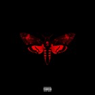 Picture for song 'f*** the world' by artist 'casey young'