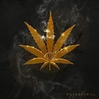 Song picture