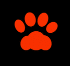 Picture for song 'Back From The East' by artist 'Cats In Practice'